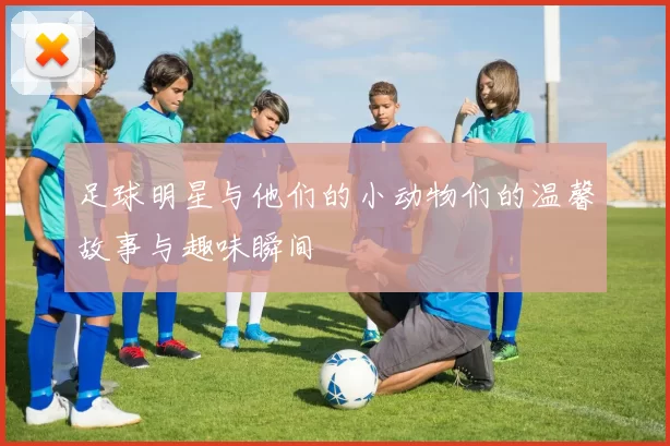 足球明星与他们的小动物们的温馨故事与趣味瞬间
