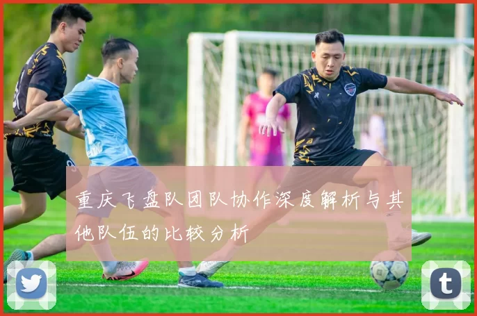 重庆飞盘队团队协作深度解析与其他队伍的比较分析