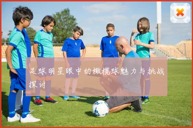 足球明星眼中的橄榄球魅力与挑战探讨