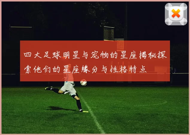 四大足球明星与宠物的星座揭秘探索他们的星座缘分与性格特点