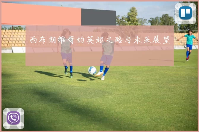 西布朗维奇的英超之路与未来展望