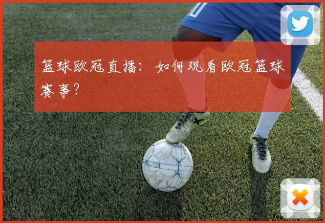 篮球欧冠直播：如何观看欧冠篮球赛事？