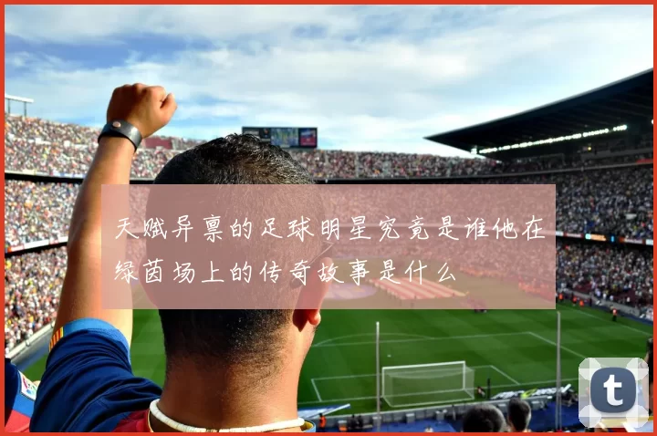 天赋异禀的足球明星究竟是谁他在绿茵场上的传奇故事是什么