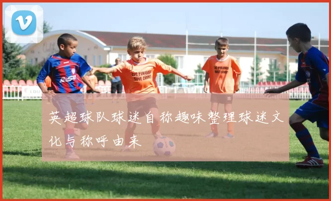 英超球队球迷自称趣味整理球迷文化与称呼由来