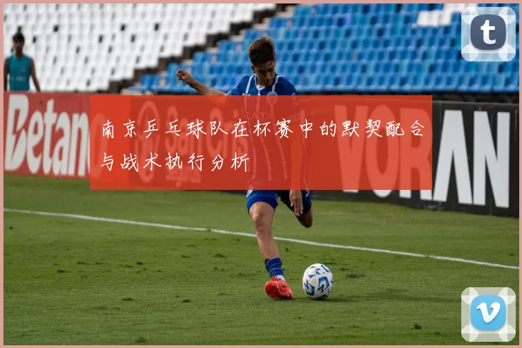 南京乒乓球队在杯赛中的默契配合与战术执行分析