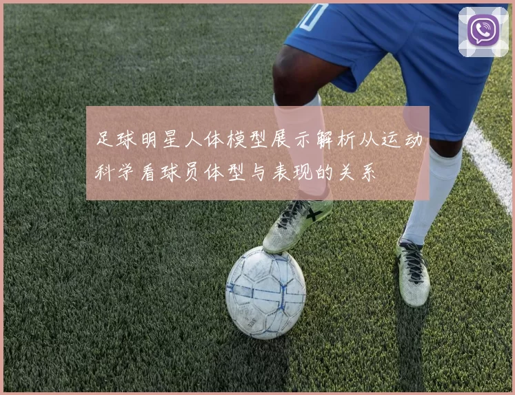 足球明星人体模型展示解析从运动科学看球员体型与表现的关系