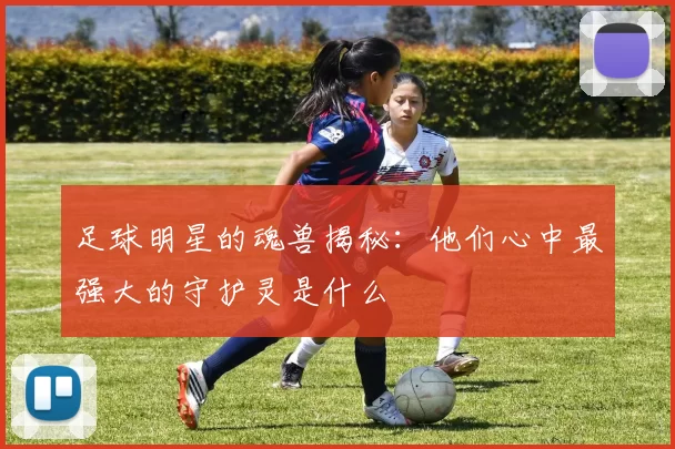 足球明星的魂兽揭秘：他们心中最强大的守护灵是什么