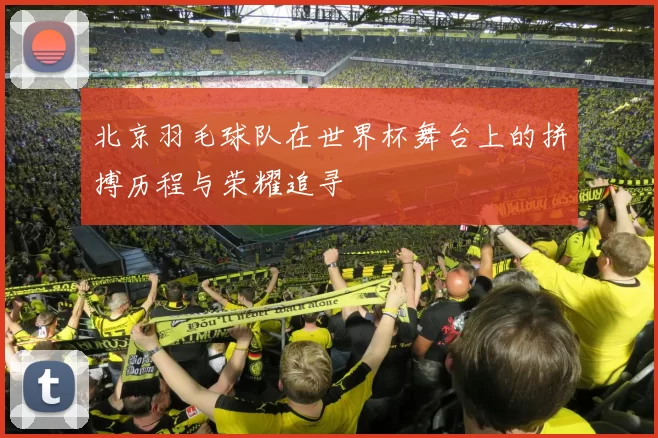 北京羽毛球队在世界杯舞台上的拼搏历程与荣耀追寻