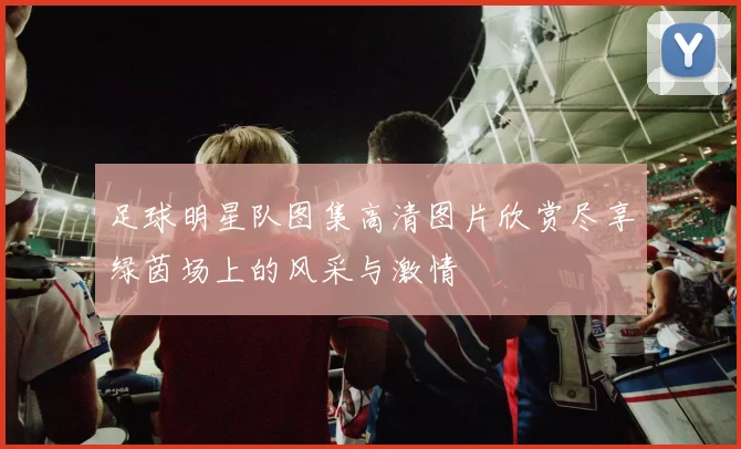 足球明星队图集高清图片欣赏尽享绿茵场上的风采与激情