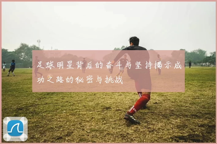 足球明星背后的奋斗与坚持揭示成功之路的秘密与挑战