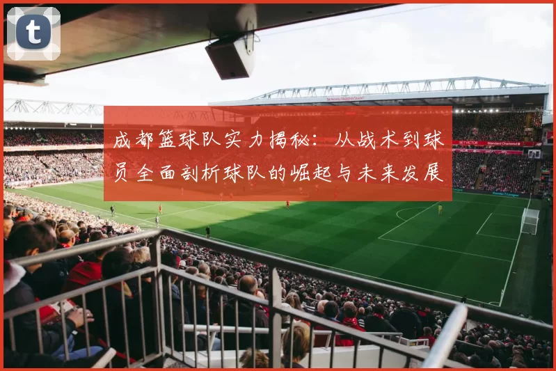 成都篮球队实力揭秘：从战术到球员全面剖析球队的崛起与未来发展