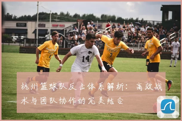 杭州篮球队反击体系解析：高效战术与团队协作的完美结合