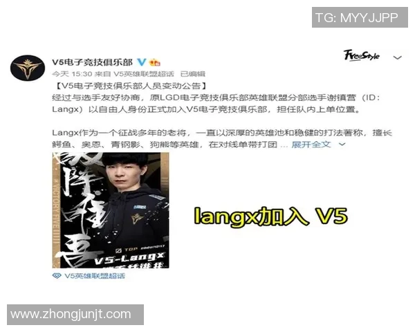 V5战队在比赛中的数据分析与经验总结探讨